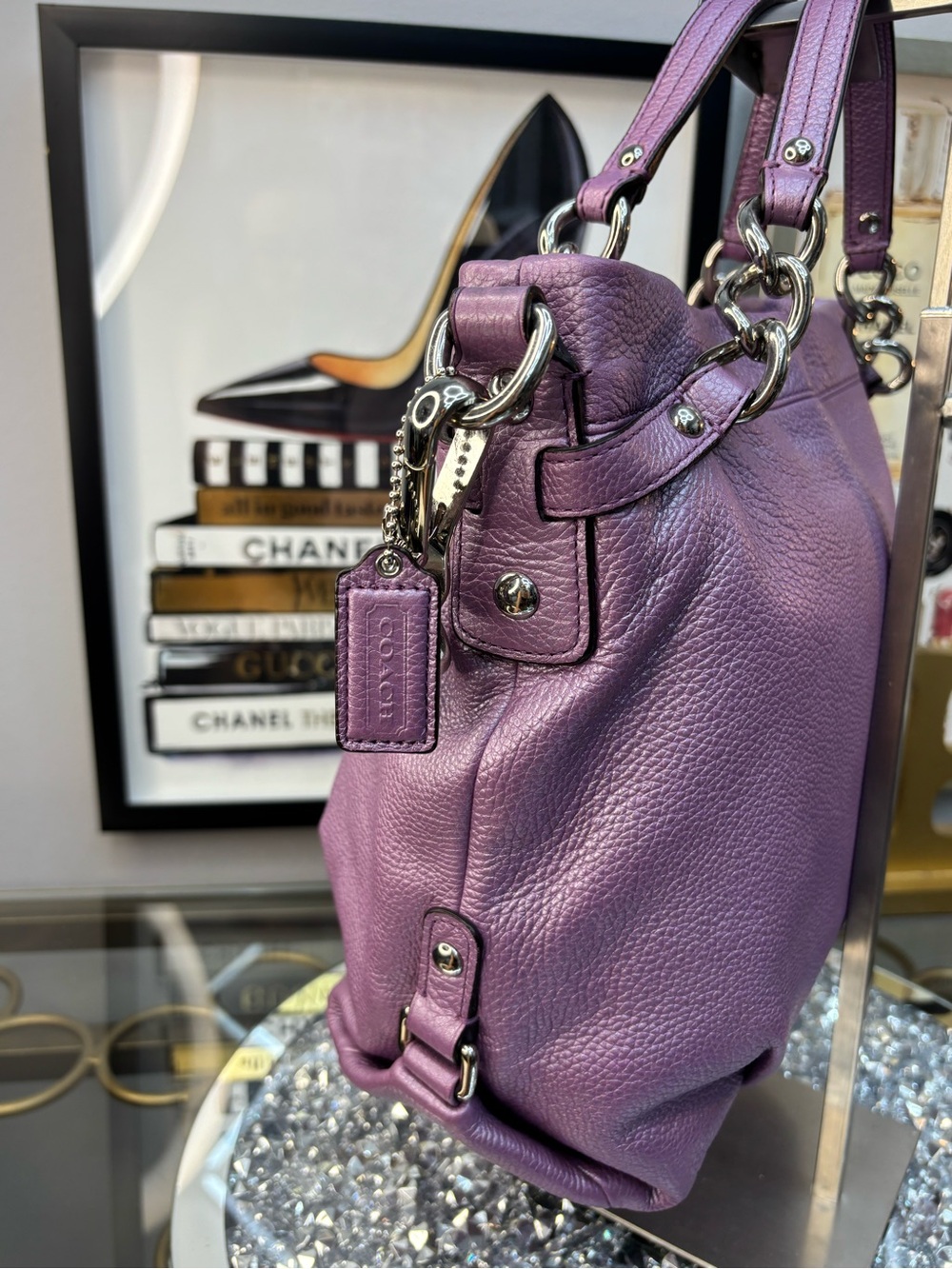 Coach 2011 Brooke Metallic Leather Hobo Bag EUC - Picture 7 of 14